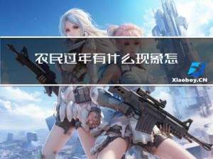 农民过年有什么现象怎么写