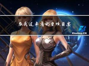 农民过年有哪些项目要做