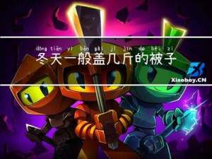 冬天一般盖几斤的被子