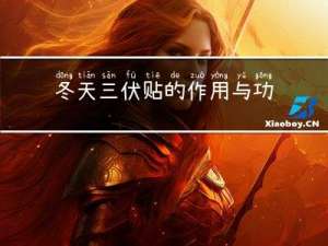 冬天三伏贴的作用与功效