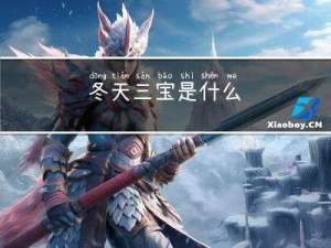 冬天三宝是什么