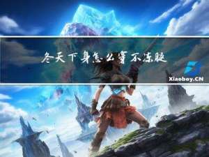 冬天下身怎么穿不冻腿