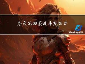 冬天不回家过年怎么办