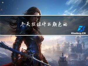 冬天丝袜什么颜色的