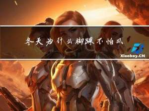 冬天为什么脚踝不怕风