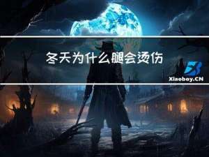 冬天为什么腿会烫伤