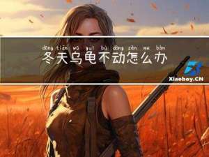 冬天乌龟不动怎么办