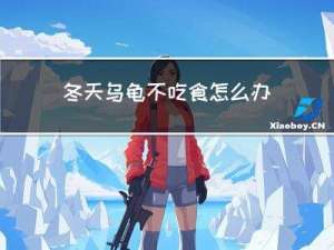 冬天乌龟不吃食怎么办