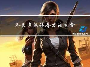 冬天乌龟保养方法大全