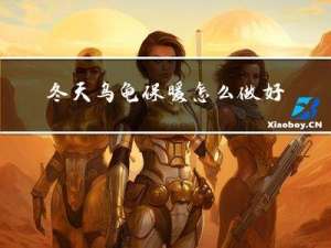 冬天乌龟保暖怎么做好