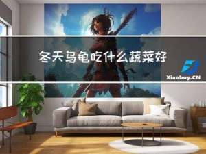 冬天乌龟吃什么蔬菜好