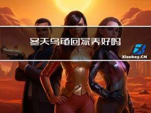 冬天乌龟回家养好吗