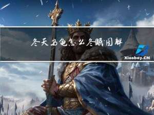 冬天乌龟怎么冬眠图解