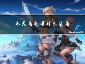 冬天乌龟用什么装着