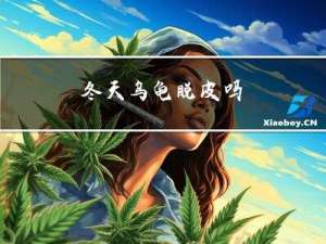 冬天乌龟脱皮吗