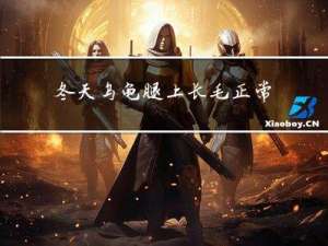 冬天乌龟腿上长毛正常吗