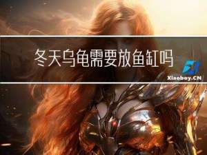 冬天乌龟需要放鱼缸吗