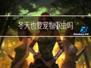 冬天也要宠物驱虫吗