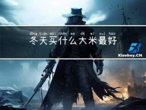 冬天买什么大米最好
