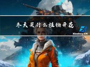 冬天买什么植物开花