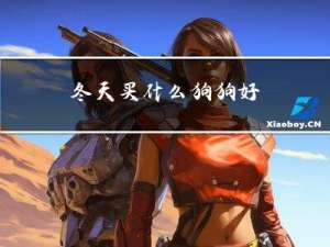 冬天买什么狗狗好