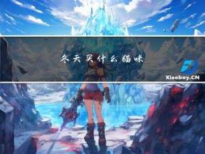 冬天买什么猫咪