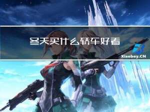 冬天买什么轿车好看