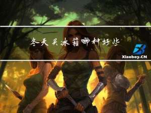 冬天买冰箱哪种好些