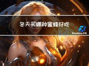 冬天买哪种蜜蜂好吃