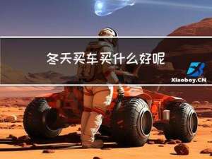 冬天买车买什么好呢