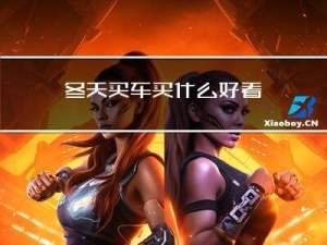 冬天买车买什么好看