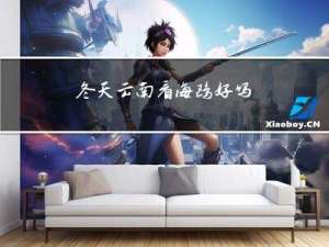 冬天云南看海鸥好吗