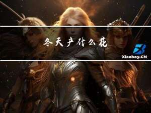冬天产什么花