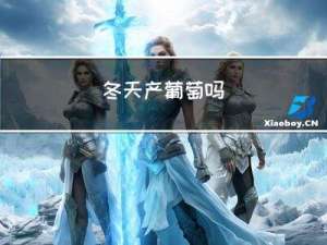 冬天产葡萄吗