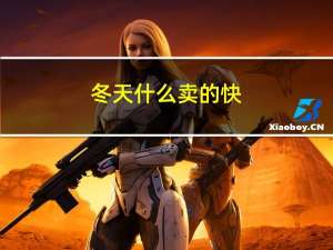 冬天什么卖的快