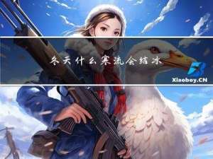 冬天什么寒流会结冰