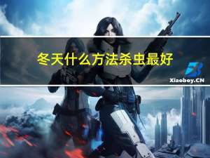 冬天什么方法杀虫最好