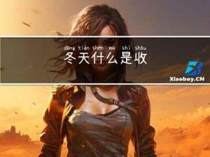 冬天什么是收