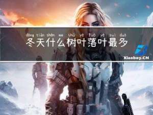 冬天什么树叶落叶最多