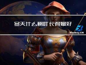 冬天什么树叶长得最好