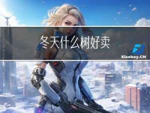 冬天什么树好卖