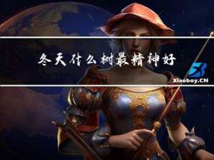 冬天什么树最精神好