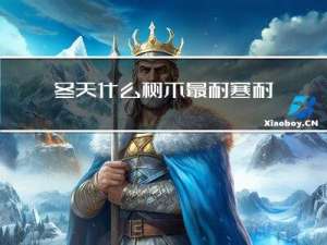 冬天什么树木最耐寒耐热