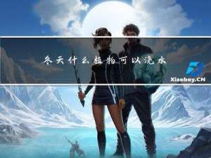 冬天什么植物可以浇水养护