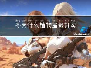 冬天什么植物盆栽好卖