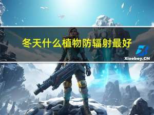 冬天什么植物防辐射最好