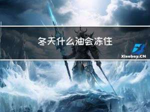 冬天什么油会冻住