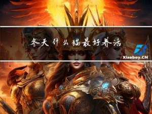 冬天什么猫最好养活