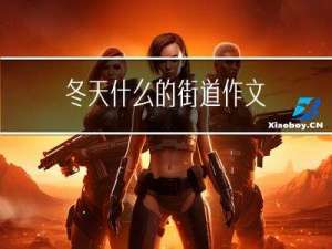 冬天什么的街道作文