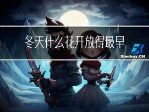 冬天什么花开放得最早